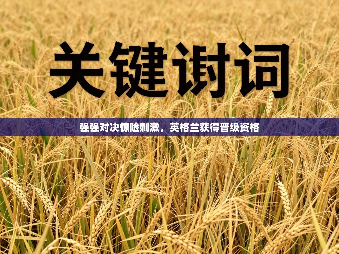 强强对决惊险刺激，英格兰获得晋级资格  第2张