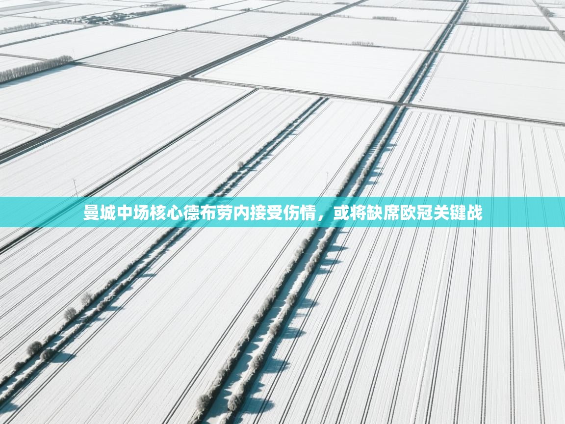 曼城中场核心德布劳内接受伤情，或将缺席欧冠关键战  第2张