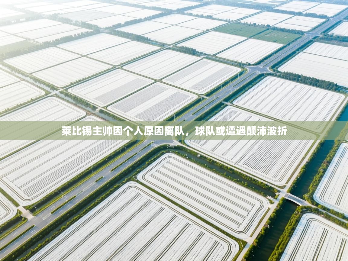 莱比锡主帅因个人原因离队，球队或遭遇颠沛波折