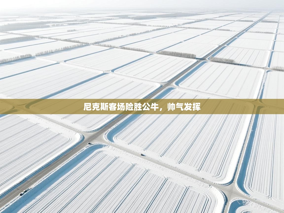 尼克斯客场险胜公牛，帅气发挥  第1张