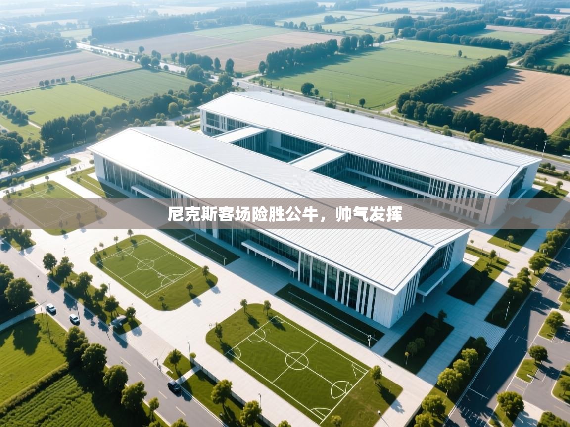 尼克斯客场险胜公牛，帅气发挥  第2张